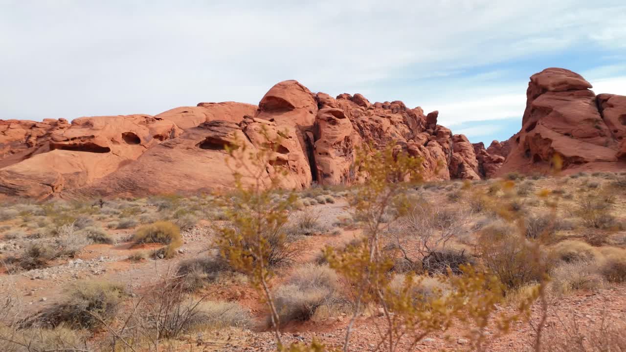 Plants And Red Rocks In The Valley