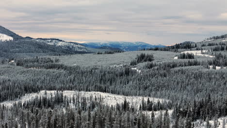 the kootenays' winter embrace: mountains and forests
