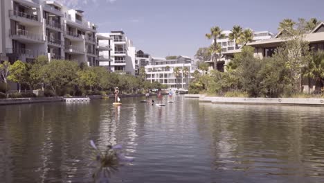 people paddleboarding on a canal surrounded by modern buildings and lush greenery