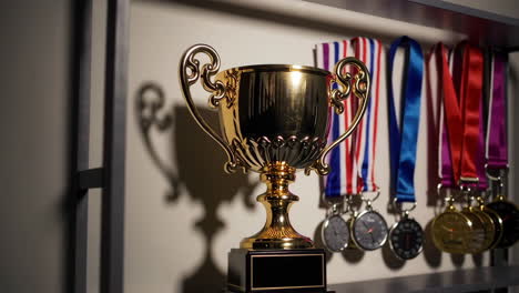 trophies and medals on shelf