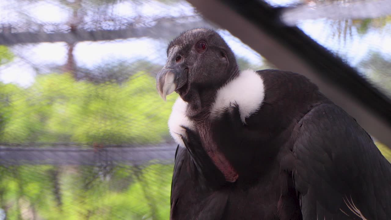 요코하마 최고의 전망