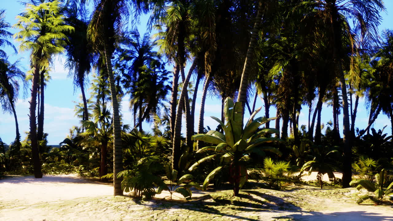 тропический пляж с пальмами