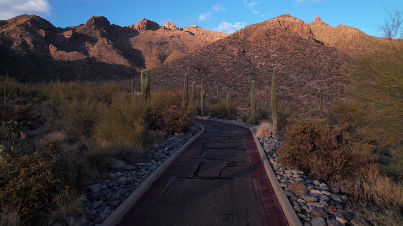 Eerie follow-shot along a cactus lined road in the Arizona desert, 4K