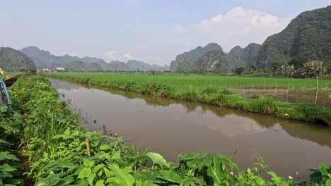 traveling view of a tranquil river and greenery