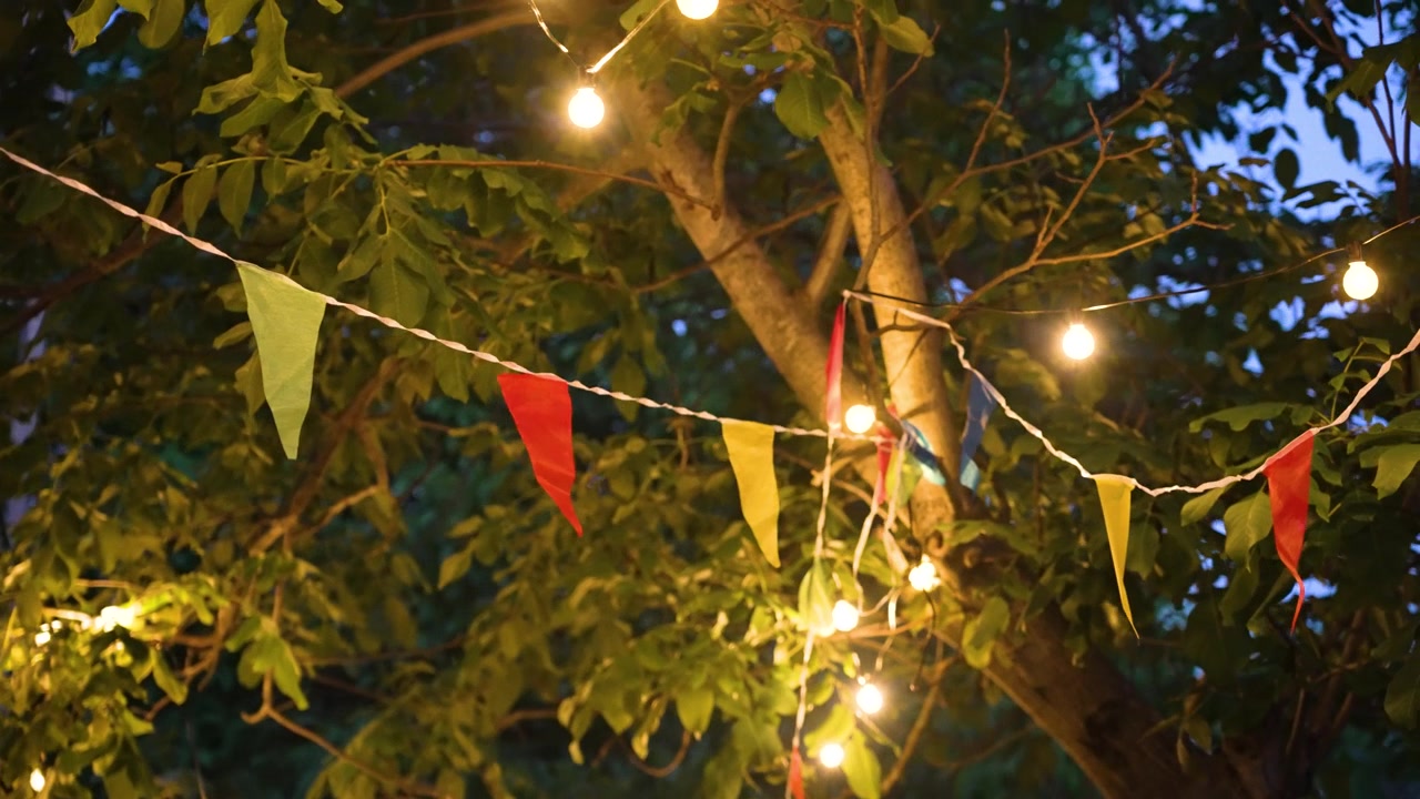 Colorful party pennant flags and warm string light bulbs decorating a tree for a celebration