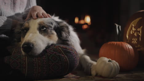 el dueño de la mascota con el perro se está relajando junto a la chimenea, al lado de las decoraciones de halloween