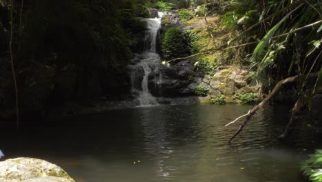 Wasserfall-Fließt-Im-Fluss-Im-Hinterland-Der-Goldküste---Lamington-National-Park-Im-Sommer---Queensland,-Australien