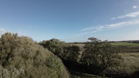 Fpv-Drohne-über-Landwirtschaftlichem-Ackerland,-Das-Sich-über-Die-Baumhecke-Großbritanniens-Erhebt