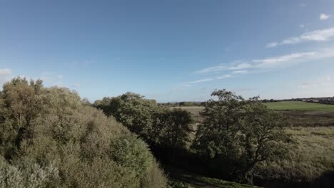 fpv drone sobre cultivos agrícolas tierras de cultivo que se elevan sobre el campo tree hedge uk