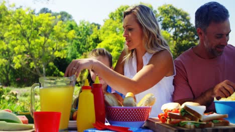 happy family having meal in park 4k