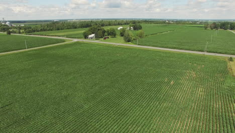 a small church sits in the middle of a corn field