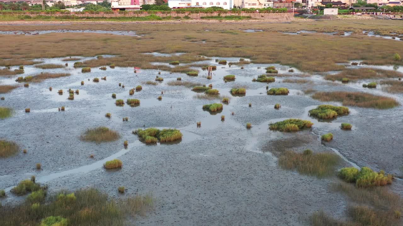 Cinematic slow tilting aerial dolly in shot capturing pristine landscape of gaomei wetland preservation area, overlooking at historic lighthouse in the background at daytime,Taichung city, Taiwan.