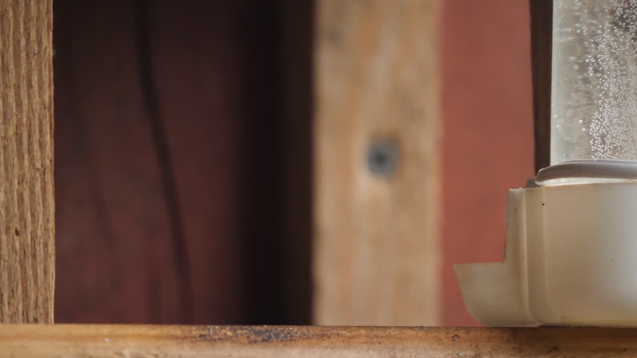 새 먹이는  ⁇ 벌에서 물을 마시세요.