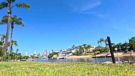 magpie exploring scenic gold coast waterfront