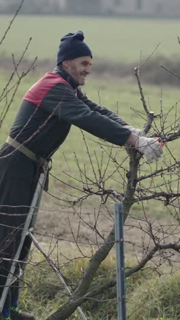 Pruning trees in a field