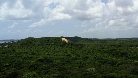 Rising-aerial-drone-wide-shot-of-a-large-exotic-jungle-forest-with-tall-sand-dunes-peaking-through-the-green-from-the-tropical-beach-town-of-Tibau-do-Sul-in-Rio-Grande-do-Norte,-Brazil