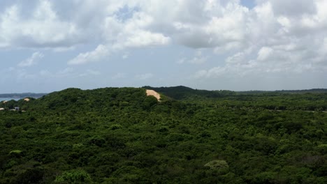 rising aerial drone wide shot of a large exotic jungle forest with tall sand dunes peaking through the green from the tropical beach town of tibau do sul in rio grande do norte, brazil