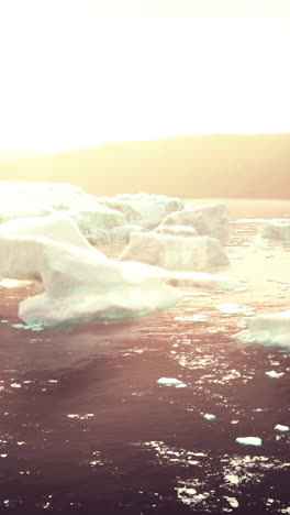 icebergs in the arctic ocean