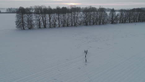 Eine-Kleine-Herde-Hirsche,-Die-Im-Winter-Durch-Ein-Verschneites-Feld-Zum-Windschutz-Der-Bäume-Wandern,-Der-Horizont-Mit-Der-Sonne,-Die-Durch-Die-Wolken-Scheint