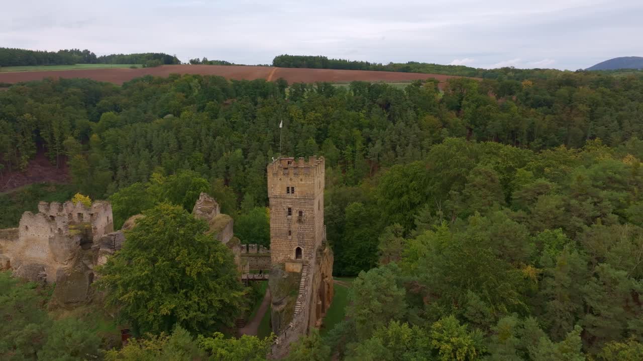 Scenografico castello di Helfenburk a Usti nad Labem circondato da una fitta foresta