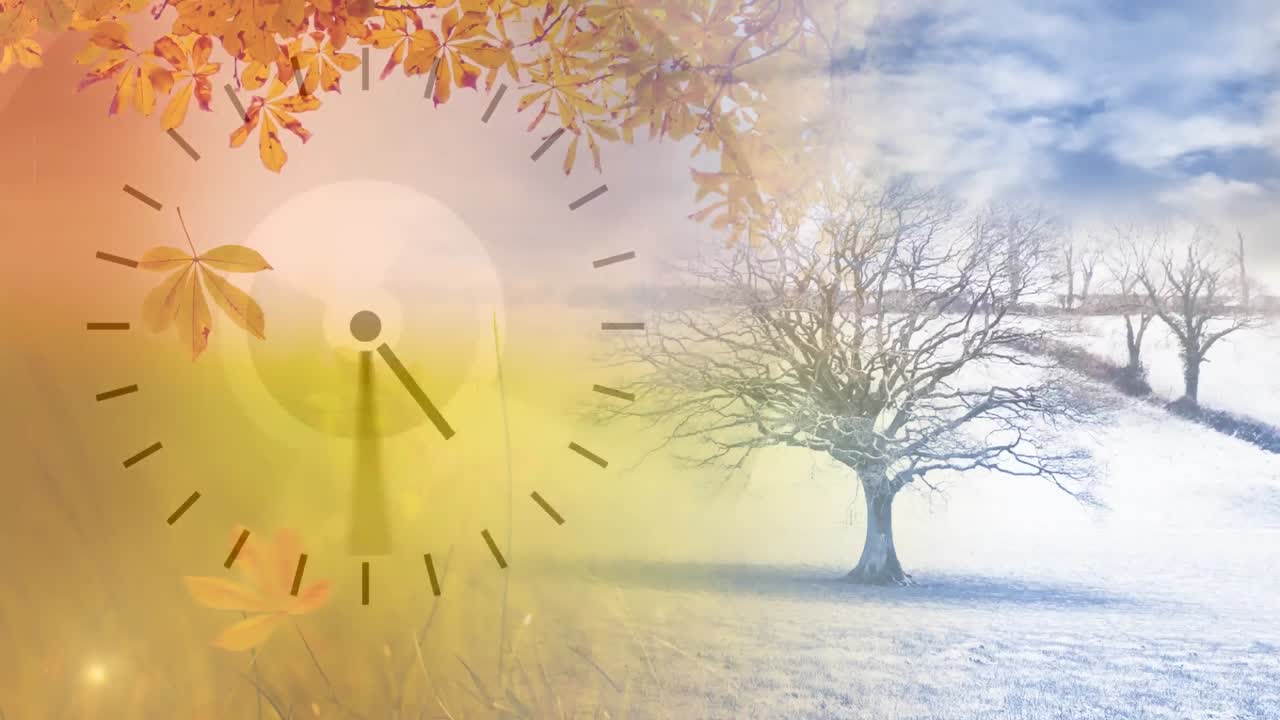 시계 를 가진 겨울 에 나무 들