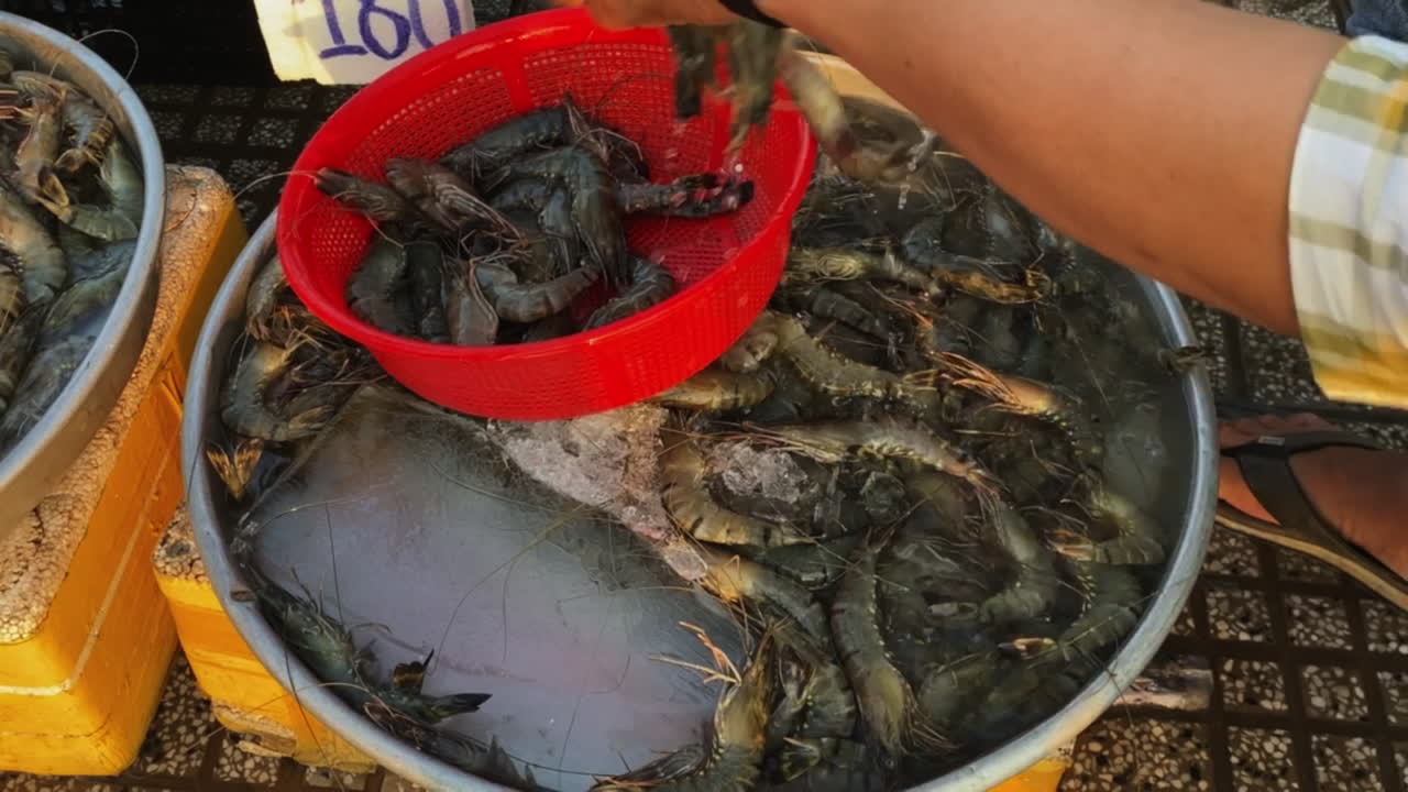 시장 에서 신선 한 새우