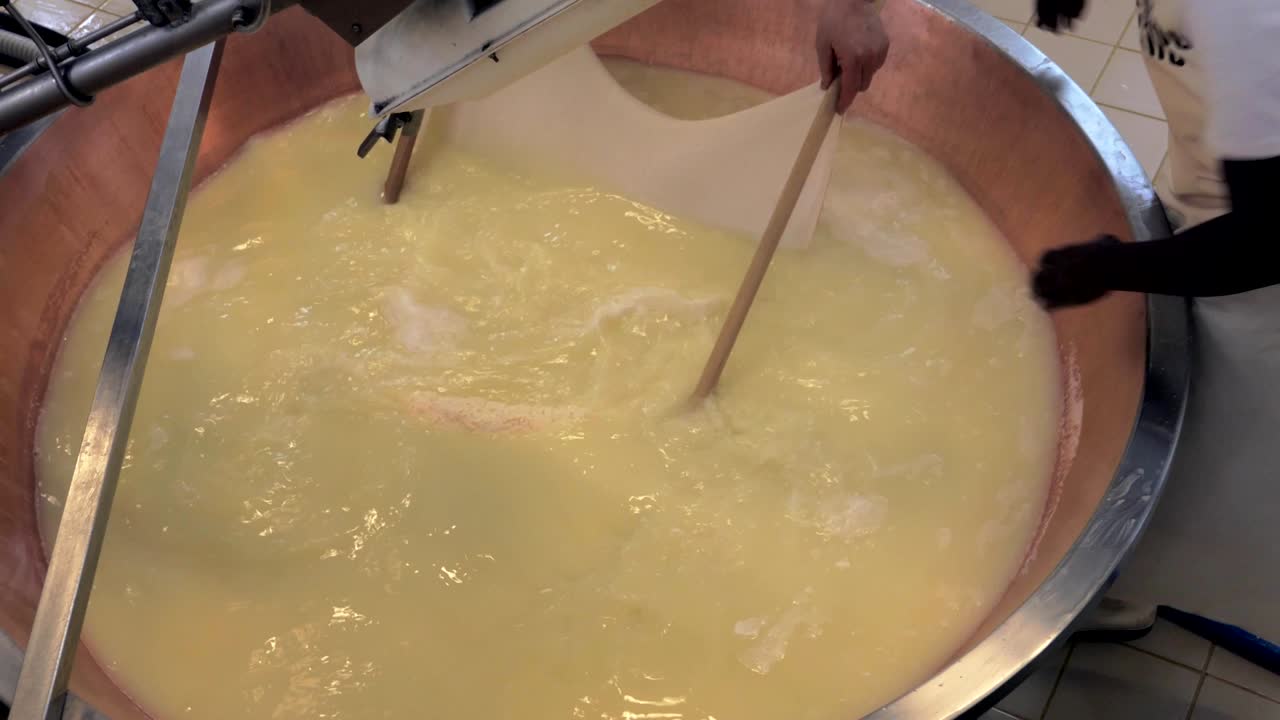 production of parmesan cheese, harvesting from brine