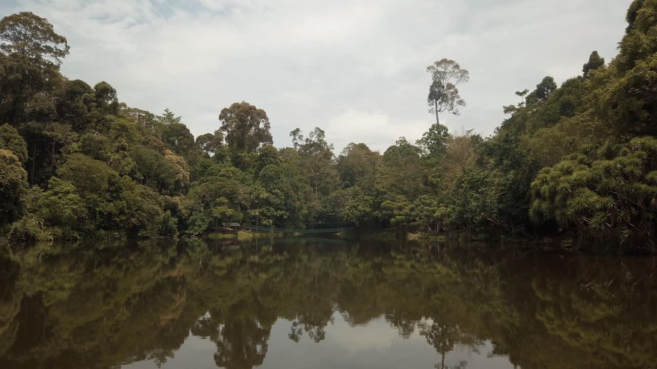 vista panorámica sobre un lago y parte de la selva tropical en borneo, el hábitat de miles de especies