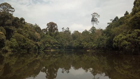 scenic view over a lake and part of the rainforest in borneo, the habitat of thousands of species