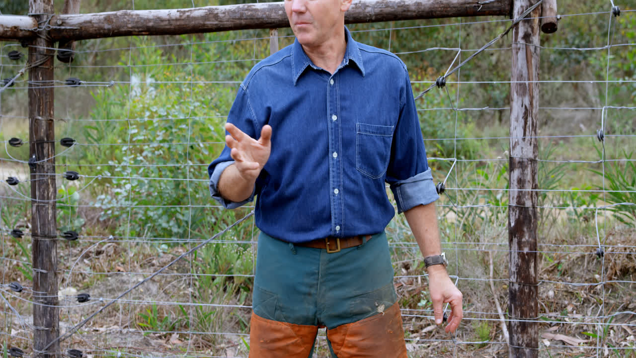 목수 가 동료 들 과 상호 작용 하는 4k