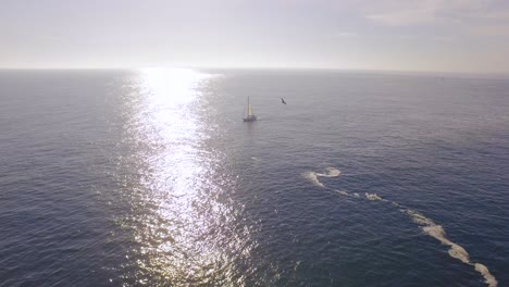 coastal scenery with birds and sailboat