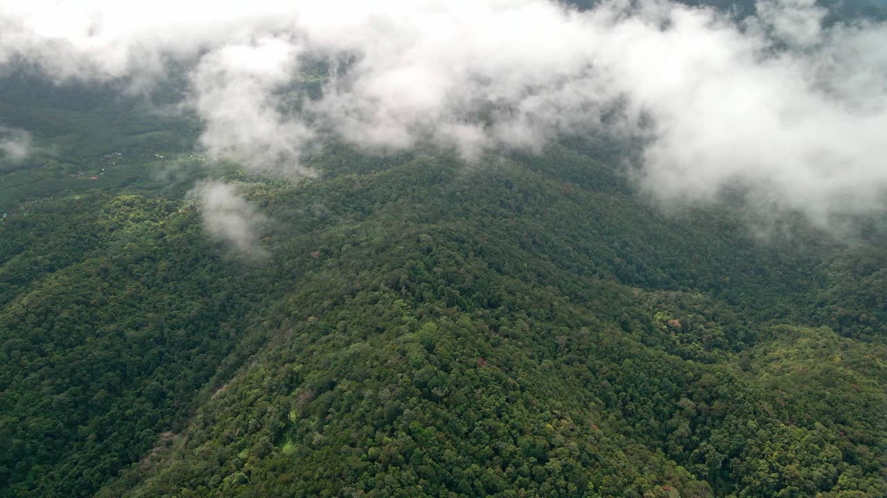 imágenes aéreas de la selva tropical y las nubes que pasan