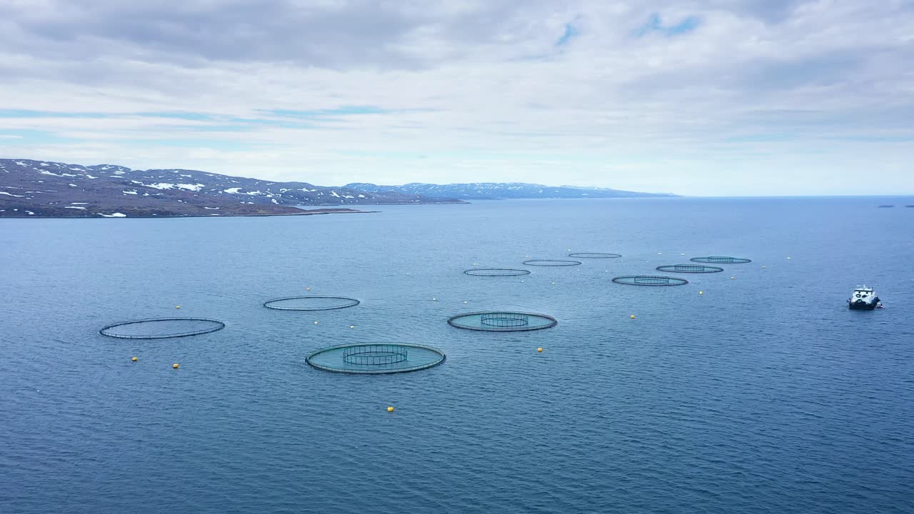 노르웨이에서 연어  ⁇ 시를 하는 공중 촬영
