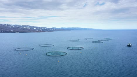 imágenes aéreas de granjas de pesca de salmón en noruega
