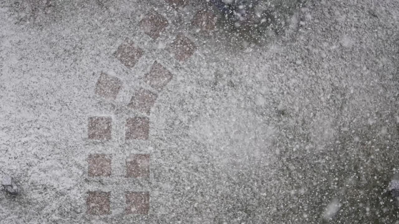 Snow Falling on a Path