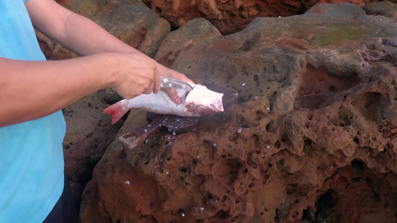 limpieza de capturas frescas: manos masculinas quitando huesos de pescado en la orilla
