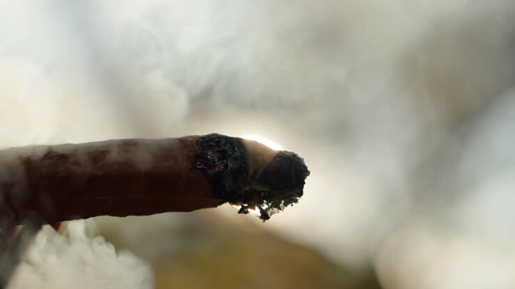 tobacco video 39,950 Stock Footage - 4K and HD Video Clips Tobacco consumption Videos - HD