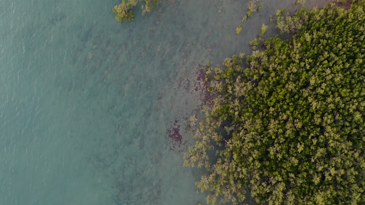 vista aérea de la orilla del acantilado nocturno con aguas tranquilas del océano y un tramo de playa de arena, vista general de arriba hacia abajo del dron