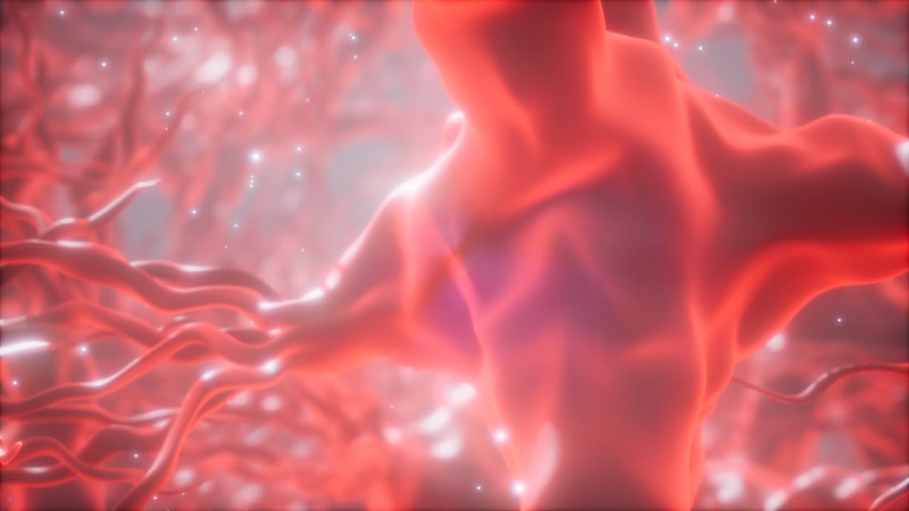 뇌 안의 신경 세포 네트워크를 통해 여행합니다.