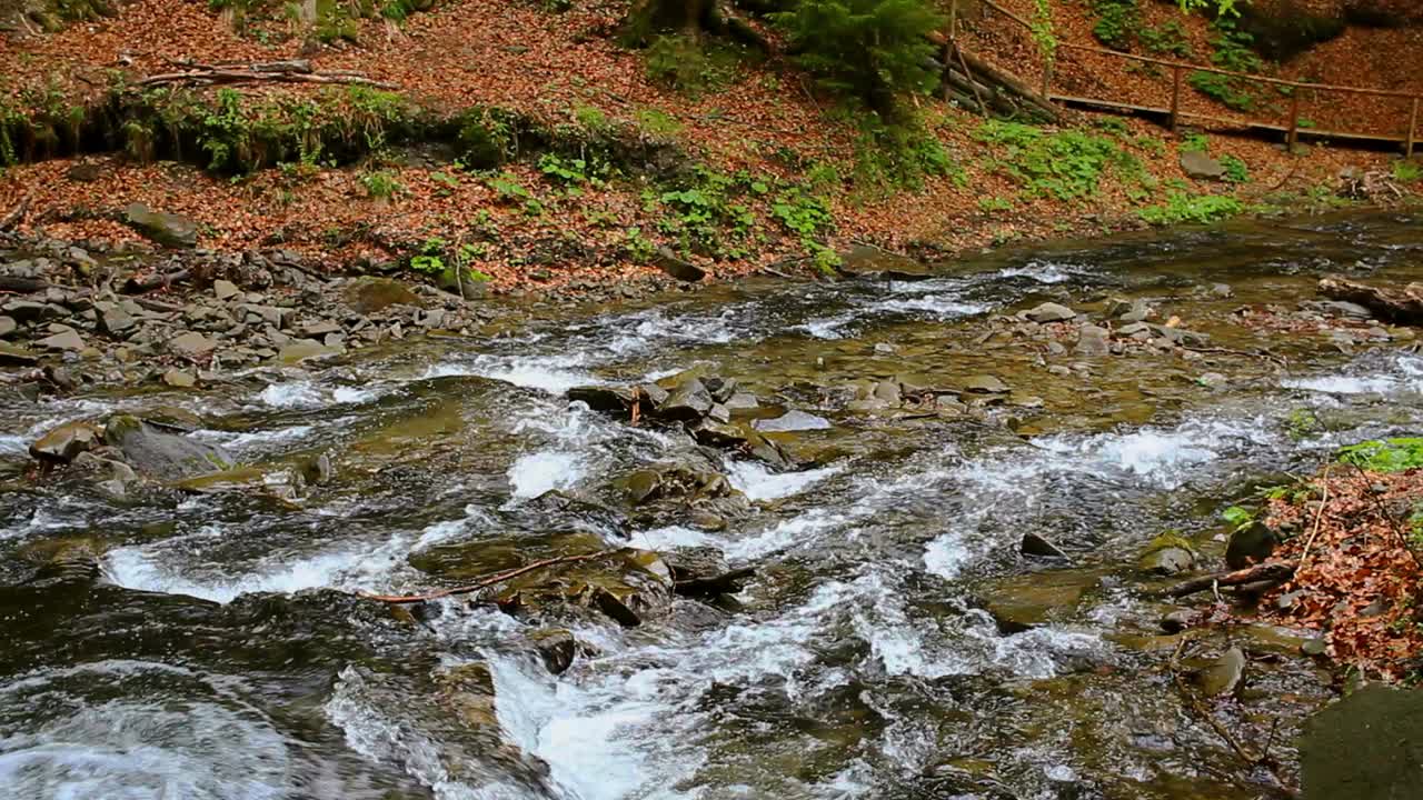 Mountain river stream landscape. Wild stream in fast river