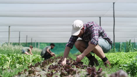 Farming-is-tiring-work