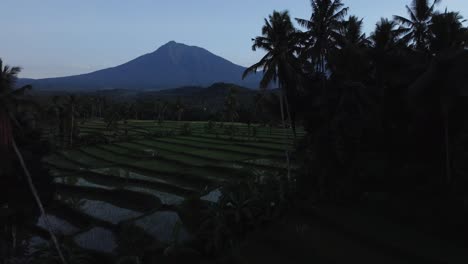 aerial view of paddy fields and volcanic mountains in east java, indonesia