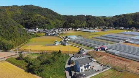 Volando-Sobre-Tierras-De-Cultivo-Y-Un-Pequeño-Pueblo-Con-Invernaderos-En-El-Campo-Japonés