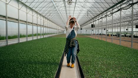 Mujer-Feliz-Y-Alegre,-Agricultora-De-Pelo-Rojo-Con-Camisa-Blanca-Y-Auriculares-Inalámbricos,-Escucha-Música-Y-Baila-Entre-Las-Plantas-Del-Invernadero