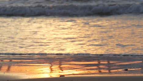 océano de california a la luz del sol, olas marinas al atardecer. reflexión de la luz solar en el agua