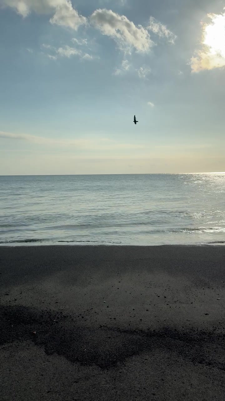 Vista pacifica sull'oceano con onde leggere e un uccello in volo.