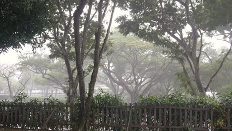 Día-Lluvioso-En-Un-Parque-En-Singapur,