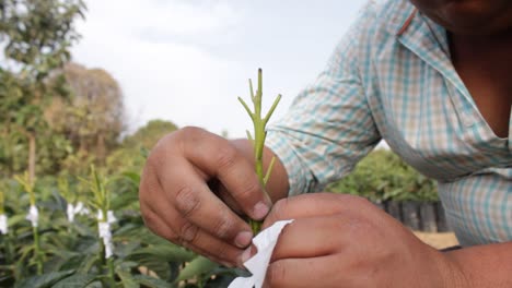 video de un agricultor mostrando todo el proceso