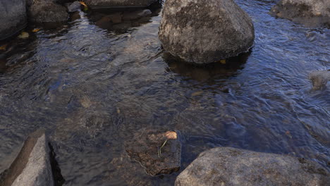 clean-and-fresh-water-flowing-down,-shallow-surface,-leaf-going-down-the-stream