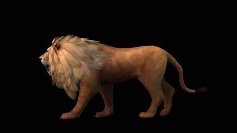 a lion walking on black background with alpha channel included at the end of the video, 3d animation, side view, animated animals, seamless loop animation